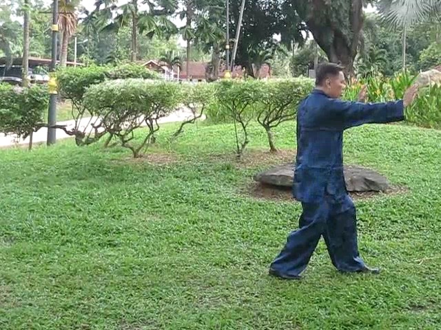 Wu Yu Xiang Style Taijiquan